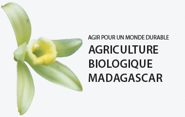 Agriculture Biologique Vanille LAVANY Bourbon de Madagascar